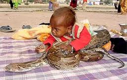 18 month-old child chewed the head of a snake
